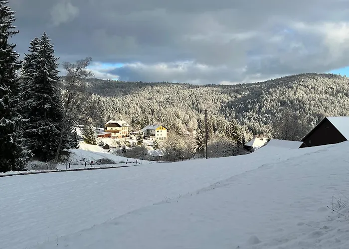 Boutique Hotel And Apartments Pension Sternen